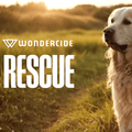 RESCUE