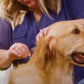 12-Month Flea & Tick Spot On for Dogs + Cats