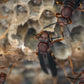 Wondercide Wasp & Hornet Spray