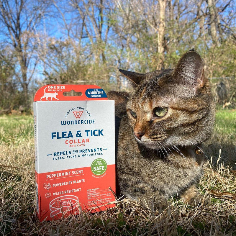 A tabby cat sits outdoors on grass, next to a Wondercide Flea & Tick Collar package. The box is red and white, advertising peppermint scent and water resistance. Trees and a clear blue sky are in the background.