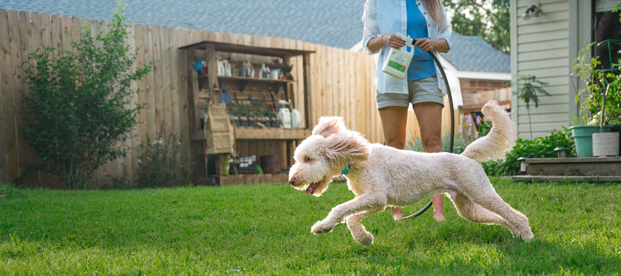 Person watering a yard with Wondercide while a dog runs through grass