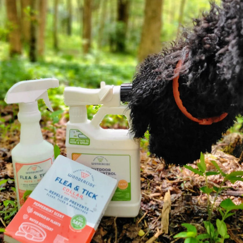 A black dogs paw is touching a bottle of wondercide outdoors pest control. Next to it are a smaller spray bottle of flea & tick remover and a box of flea & tick collar, all placed on green grass in a forest setting.