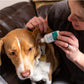 Deodorizing Ear Wash for Dogs and Cats - In Use