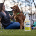 A 16 oz. bottle of Wondercide Flea & Tick Spray for Pets + Home sits on grass in focus, highlighting plant-powered pest protection as a woman and her golden retriever play together in the blurred outdoor background.