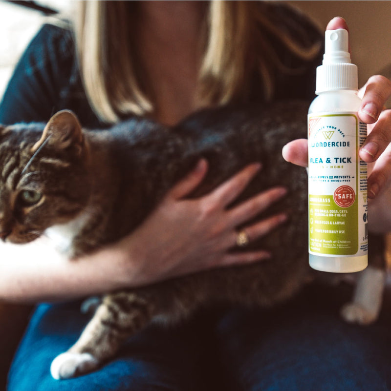 A person holds a brown and white tabby cat with one hand and displays a Wondercide 4 oz. Flea & Tick Spray for Pets + Home with the other. The product is in focus, while the cat and person appear slightly blurred.