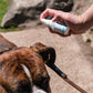 Cedarwood Flea & Tick Spray for Pets + Home - In Use