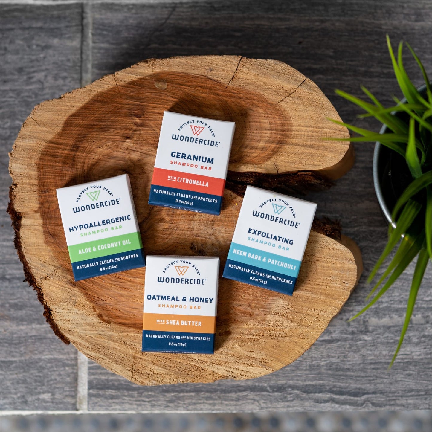 Oatmeal & Honey Shampoo Bar for Dogs and Cats - Gallery