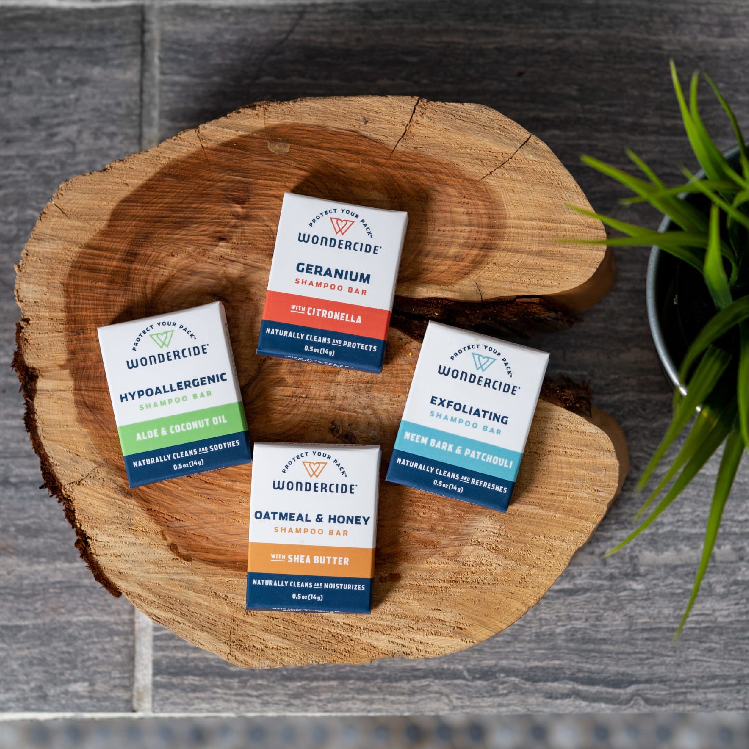 Oatmeal & Honey Shampoo Bar for Dogs and Cats - Gallery