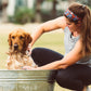 Oatmeal & Honey Shampoo Bar for Dogs and Cats - In Use