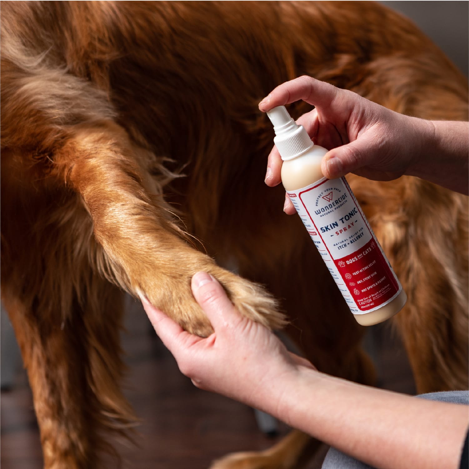 Skin Tonic Itch Spray for Dogs + Cats - In Use