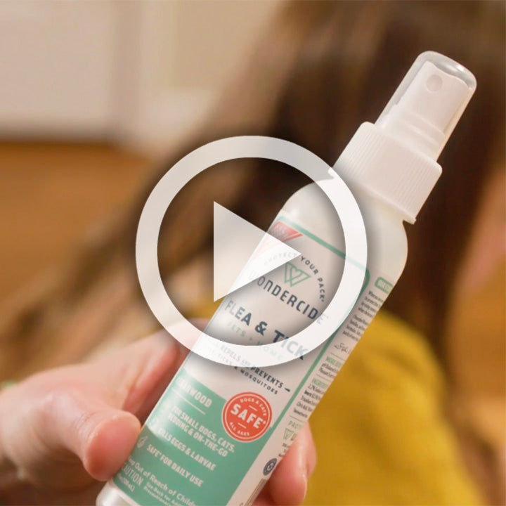 Peppermint Flea & Tick Spray for Pets + Home