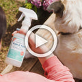 Someone in a pink sleeve holds a bottle of Wondercide 16 oz. Flea & Tick Spray for Pets + Home near a light-colored dog on a wooden bench outdoors, purple flowers in the background. A play button icon overlays the image.